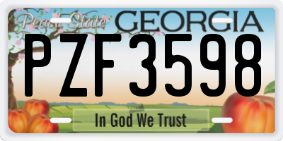 GA license plate PZF3598