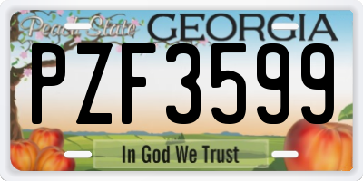 GA license plate PZF3599