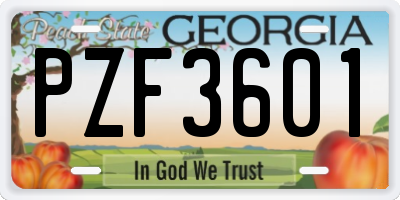 GA license plate PZF3601