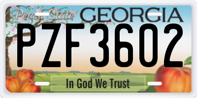 GA license plate PZF3602