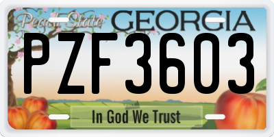 GA license plate PZF3603