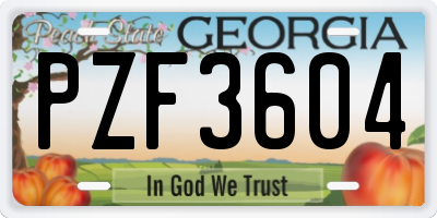 GA license plate PZF3604