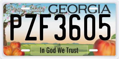 GA license plate PZF3605