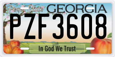 GA license plate PZF3608