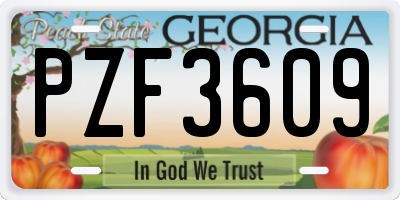 GA license plate PZF3609