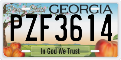 GA license plate PZF3614