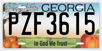GA license plate PZF3615