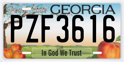 GA license plate PZF3616