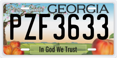 GA license plate PZF3633