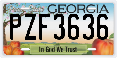 GA license plate PZF3636