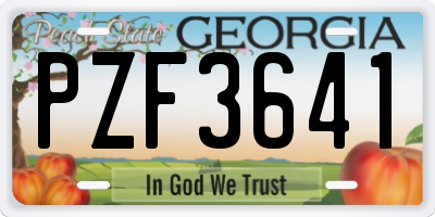 GA license plate PZF3641