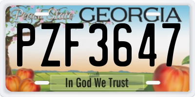 GA license plate PZF3647