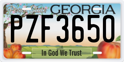 GA license plate PZF3650