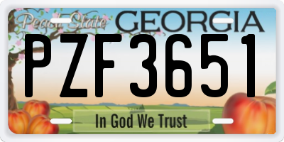 GA license plate PZF3651