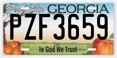 GA license plate PZF3659