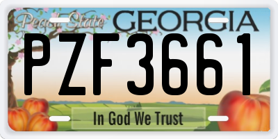 GA license plate PZF3661