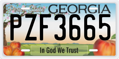 GA license plate PZF3665