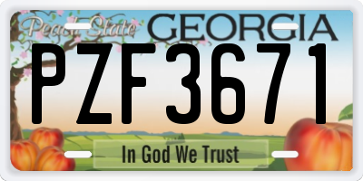GA license plate PZF3671