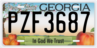 GA license plate PZF3687