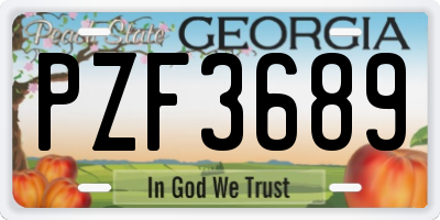 GA license plate PZF3689