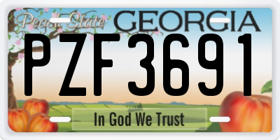 GA license plate PZF3691