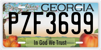 GA license plate PZF3699