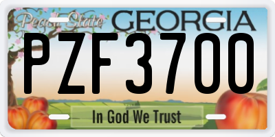 GA license plate PZF3700