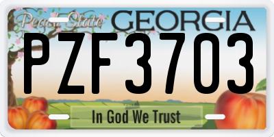 GA license plate PZF3703