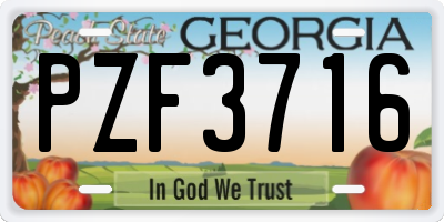 GA license plate PZF3716
