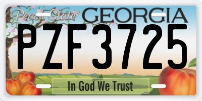 GA license plate PZF3725