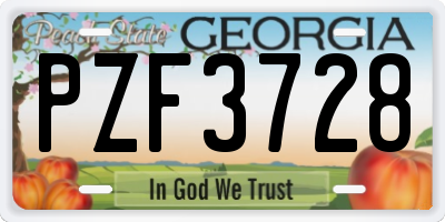 GA license plate PZF3728