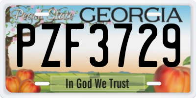 GA license plate PZF3729