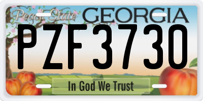 GA license plate PZF3730