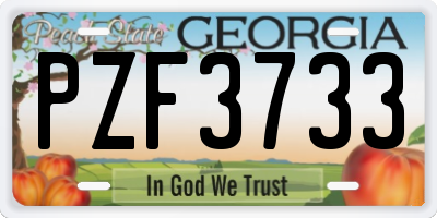 GA license plate PZF3733
