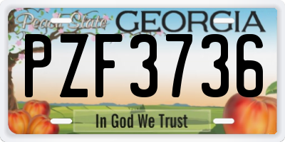 GA license plate PZF3736