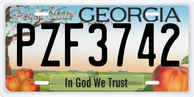 GA license plate PZF3742