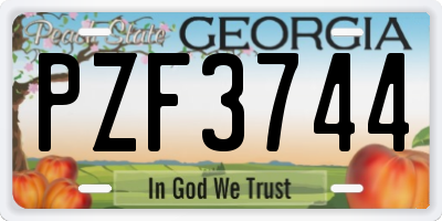 GA license plate PZF3744