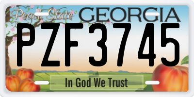 GA license plate PZF3745