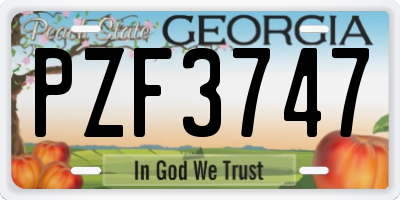GA license plate PZF3747