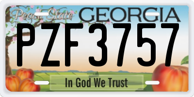 GA license plate PZF3757