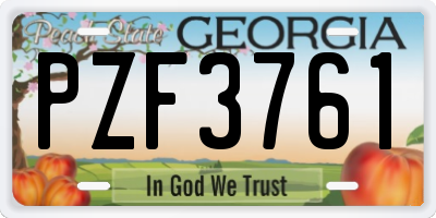 GA license plate PZF3761