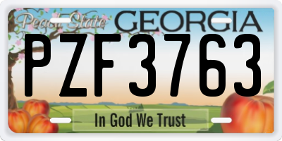 GA license plate PZF3763