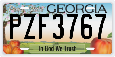 GA license plate PZF3767