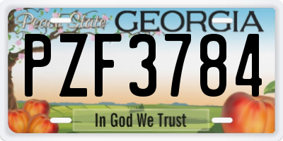 GA license plate PZF3784
