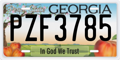 GA license plate PZF3785