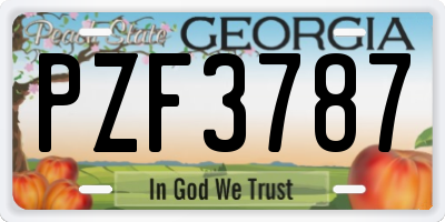 GA license plate PZF3787