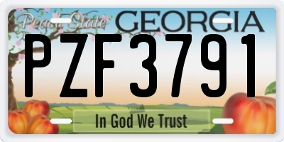GA license plate PZF3791