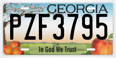 GA license plate PZF3795
