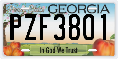 GA license plate PZF3801
