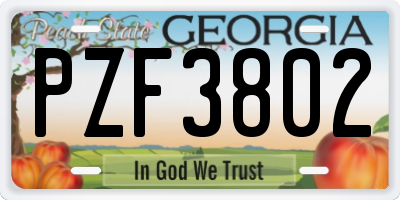 GA license plate PZF3802